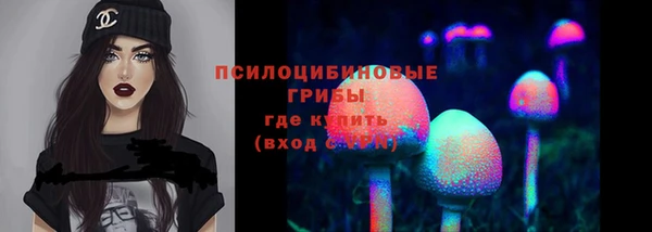 марки lsd Гусев