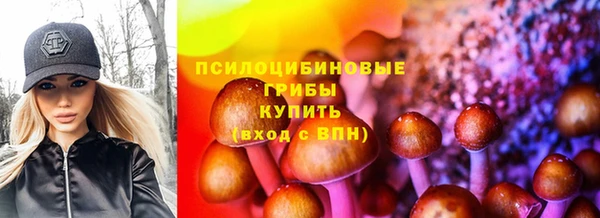 экстази Гусь-Хрустальный